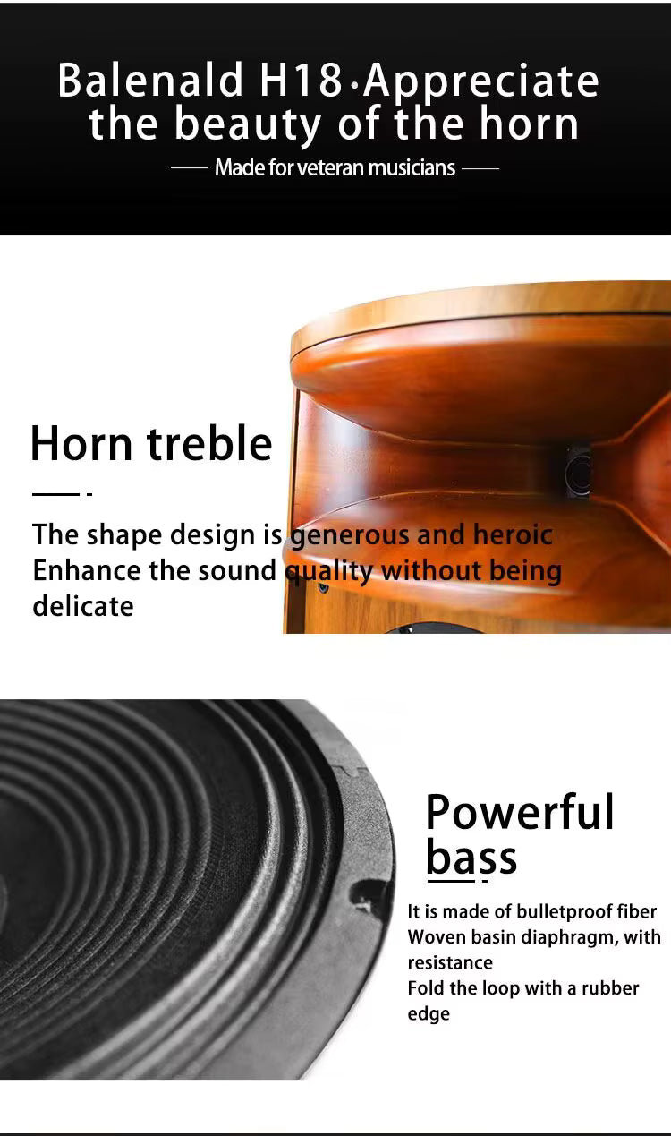 KYYSLB H18 Solid Wood Horn Dual 12" HIFI Speaker – Passive Audiophile Sound