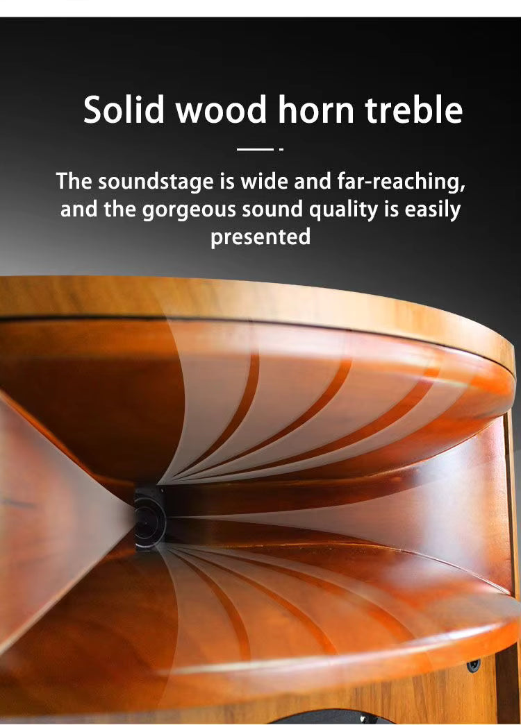 KYYSLB H18 Solid Wood Horn Dual 12" HIFI Speaker – Passive Audiophile Sound