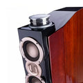 DX-2 High-End Floor Standing Speakers (Pair)