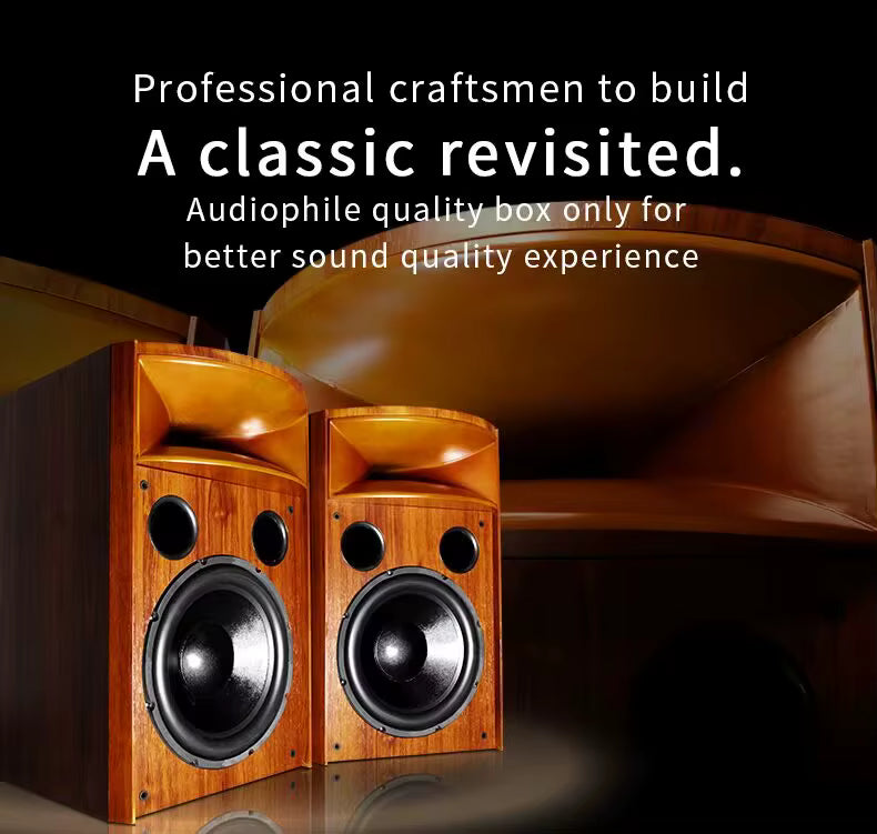 KYYSLB H15 HiFi Bookshelf Speaker – 12" Solid Wood Horn, Passive, 300W